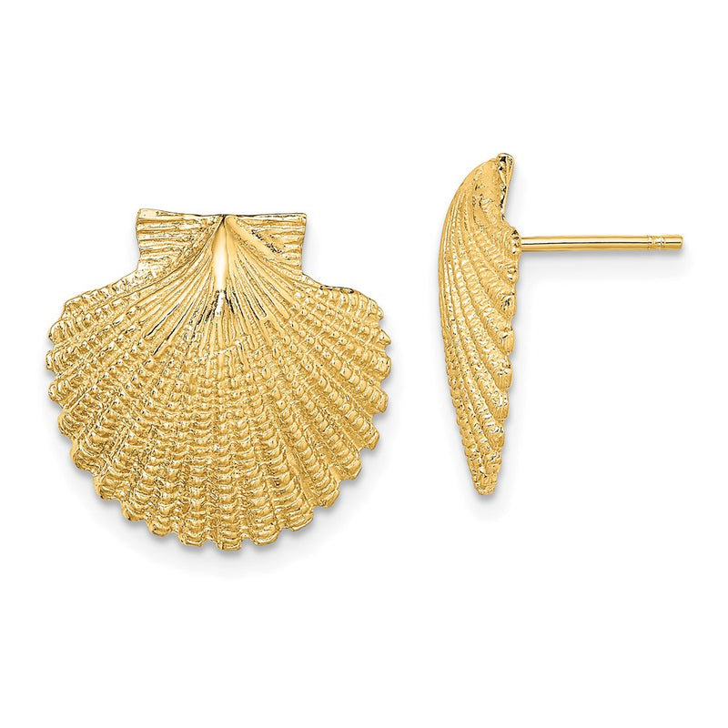 14K Yellow Gold 2-D Textured Scallop Shell Post Earrings