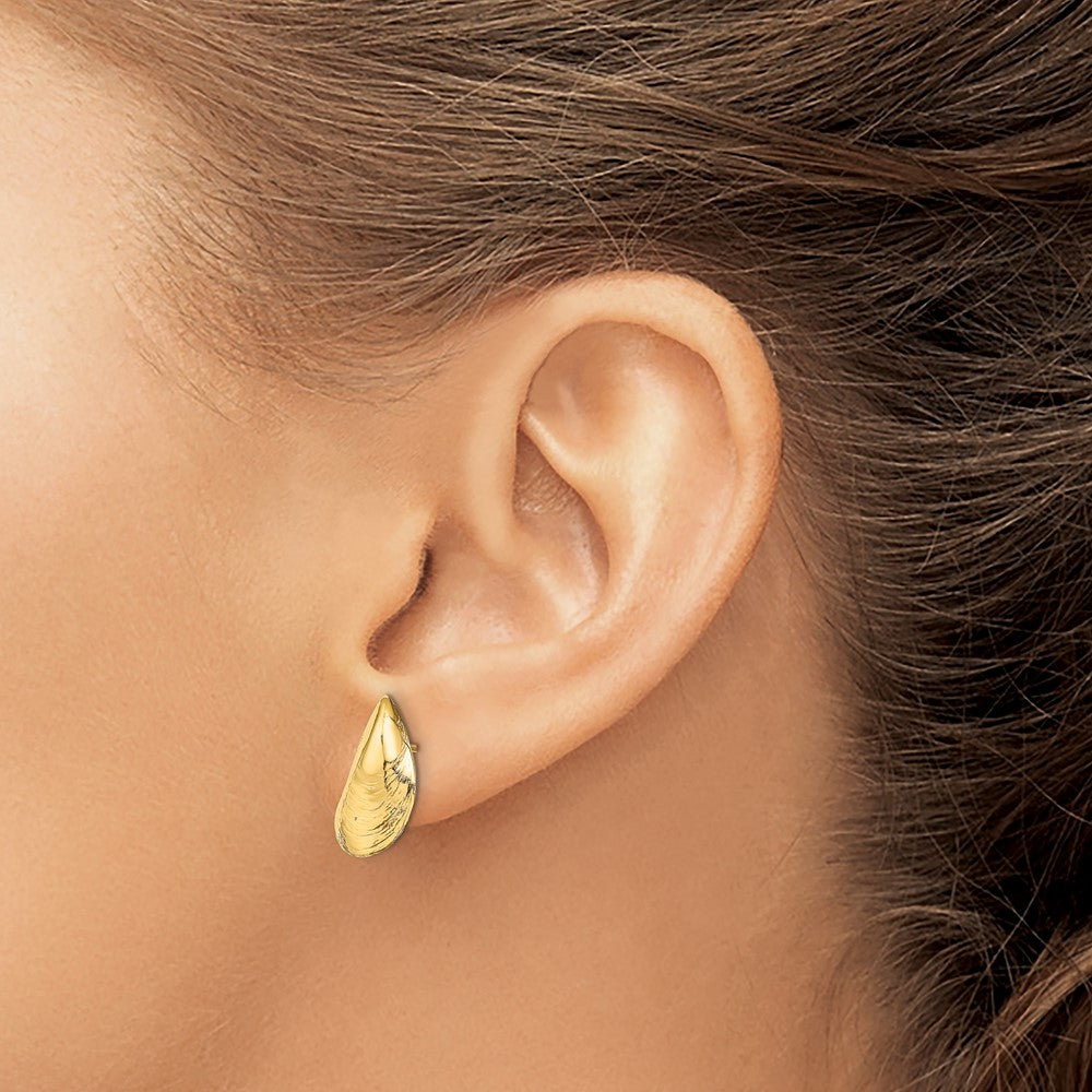 14K Yellow Gold Mussel Shell Post Earrings
