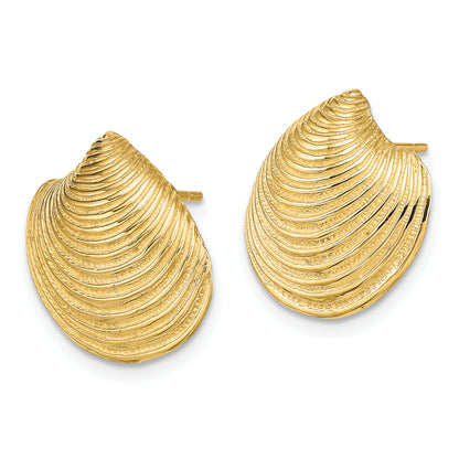 14K Yellow Gold 2-D Textured And Polished Clam Shell Post Earrings