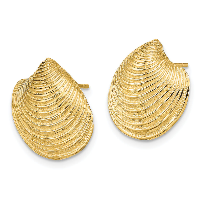 14K Yellow Gold 2-D Textured And Polished Clam Shell Post Earrings