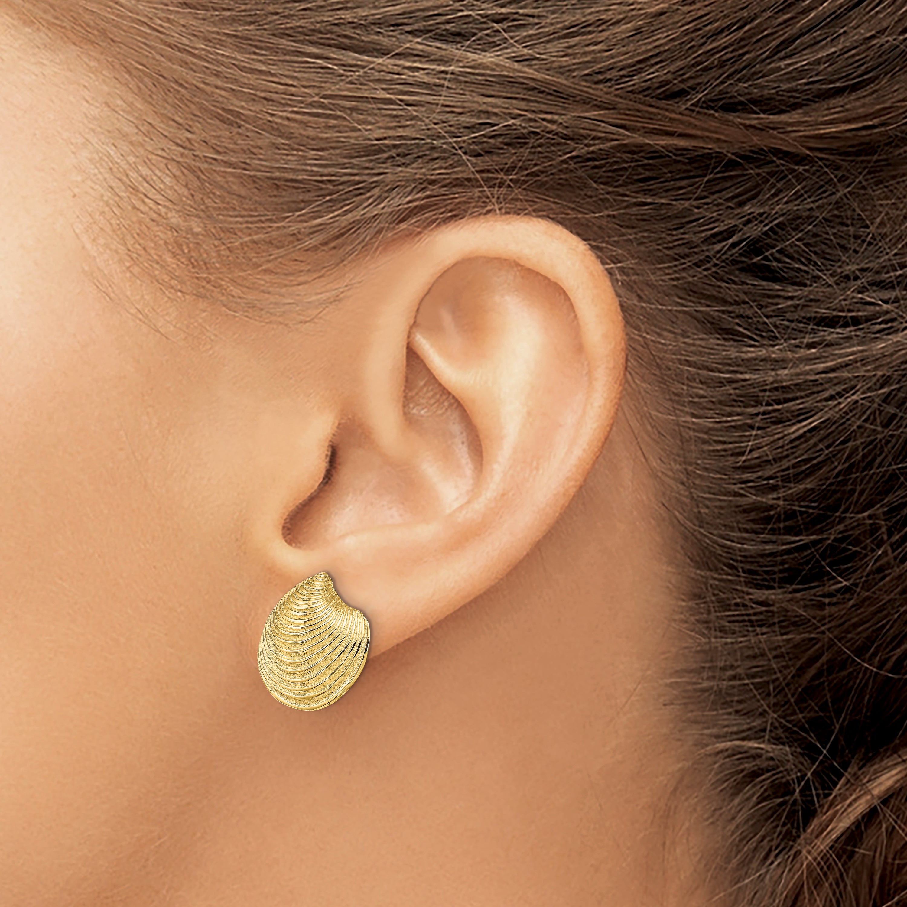 14K Yellow Gold 2-D Textured And Polished Clam Shell Post Earrings