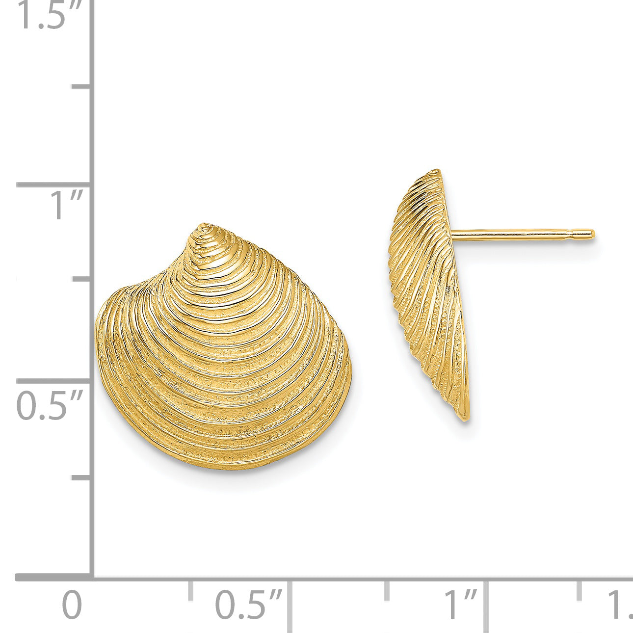 14K Yellow Gold 2-D Textured And Polished Clam Shell Post Earrings