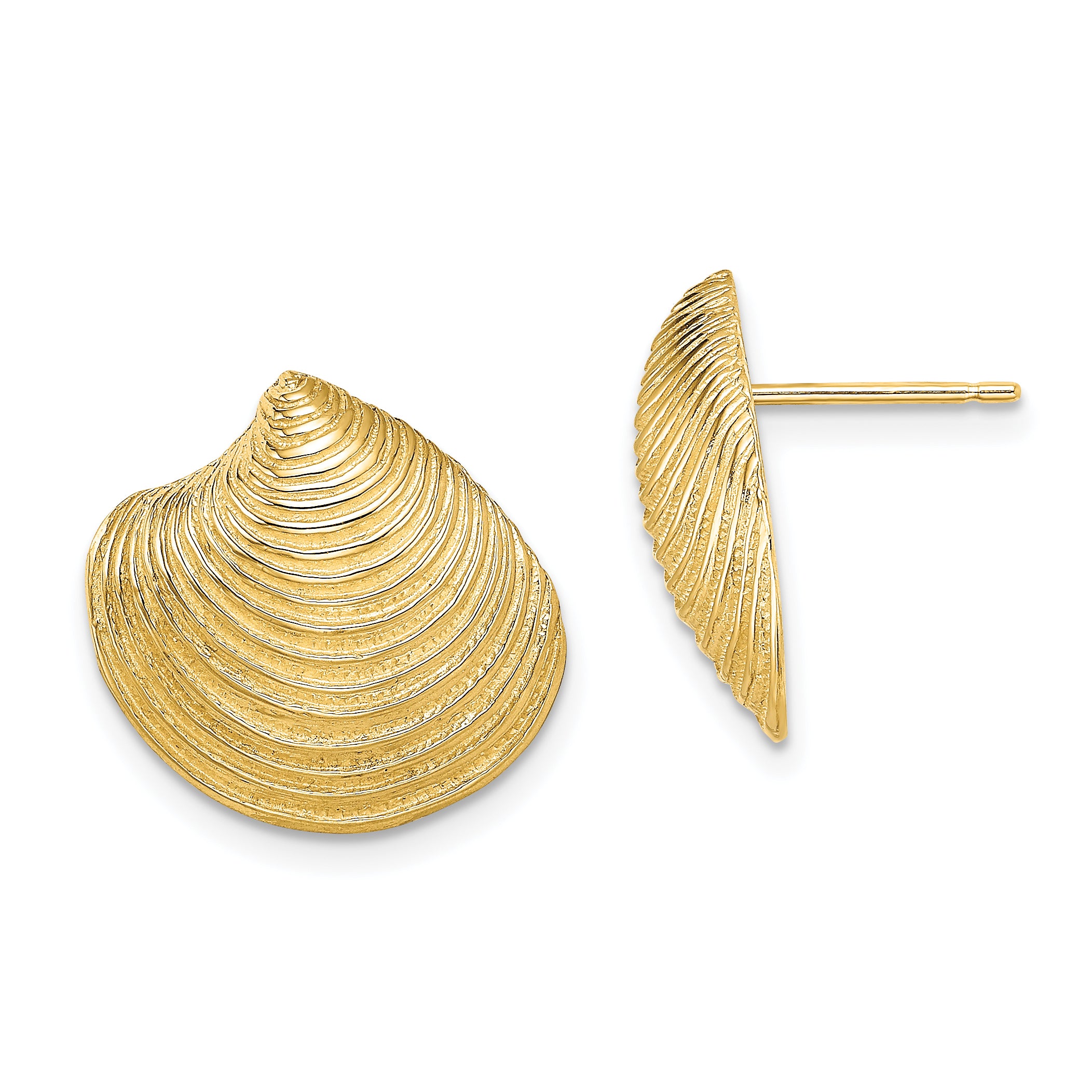 14K Yellow Gold 2-D Textured And Polished Clam Shell Post Earrings