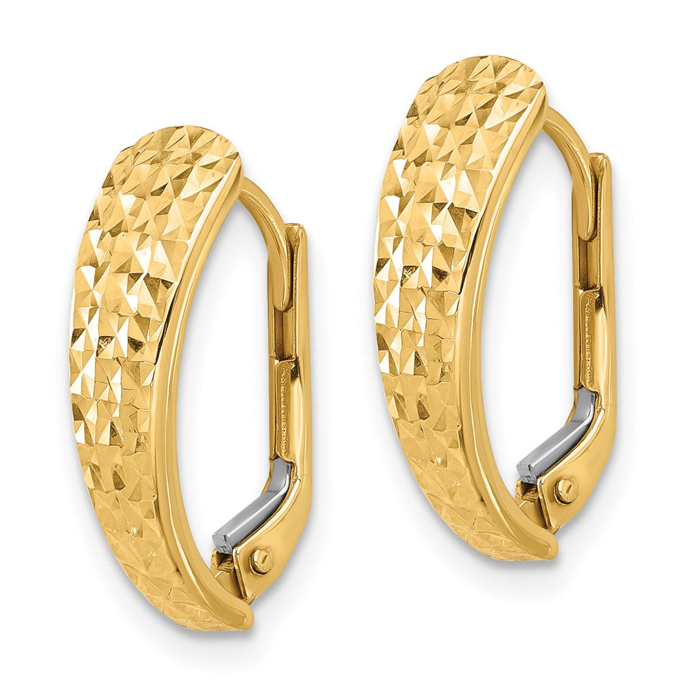 14K Yellow Gold Polished and Diamond-Cut Leverback Earrings