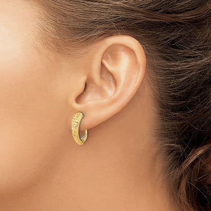 14K Yellow Gold Polished and Diamond-Cut Leverback Earrings