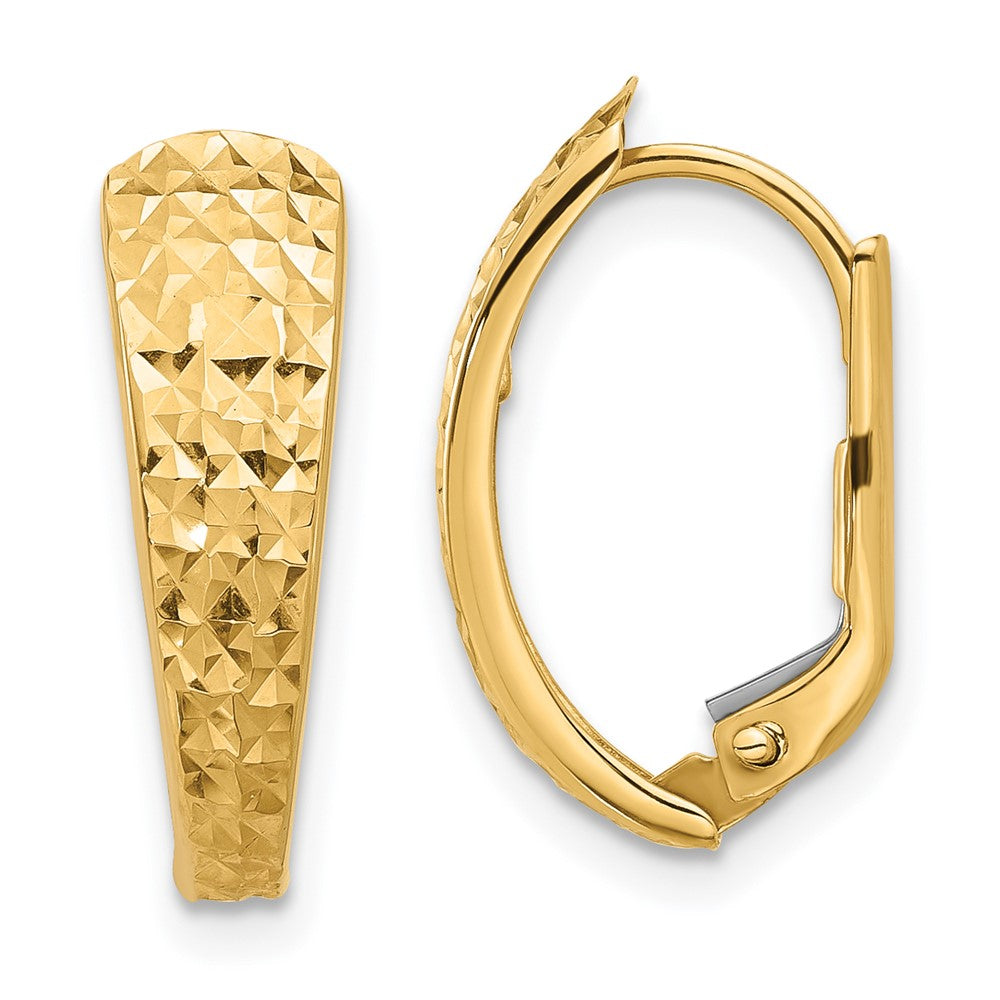 14K Yellow Gold Polished and Diamond-Cut Leverback Earrings