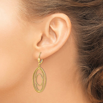 14K Yellow Gold Textured And Polished Dangle Leverback Earrings