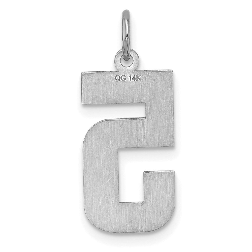14k White Goldw Large Brushed Diamond-cut  Number 5 Charm