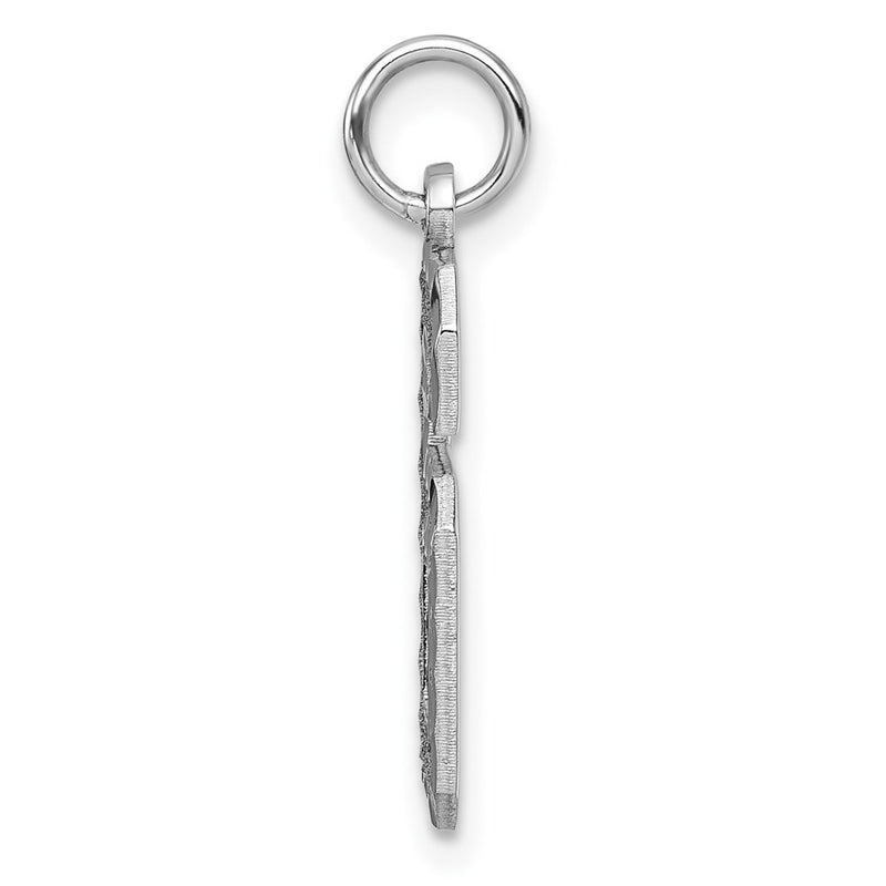14k White Goldw Large Brushed Diamond-cut  Number 6 Charm