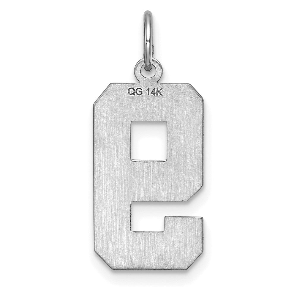 14k White Goldw Large Brushed Diamond-cut  Number 9 Charm