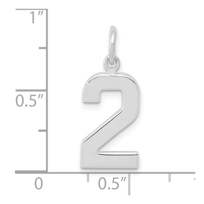 14k White Gold 14kw  Medium Polished Number 2 Charm
