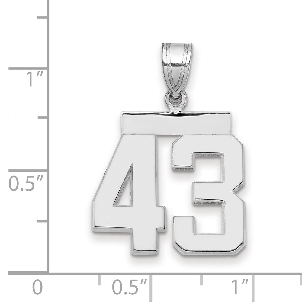 14k White Goldw Medium Polished Number 43 Charm