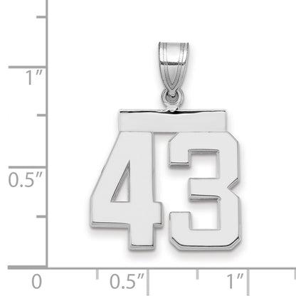 14k White Goldw Medium Polished Number 43 Charm