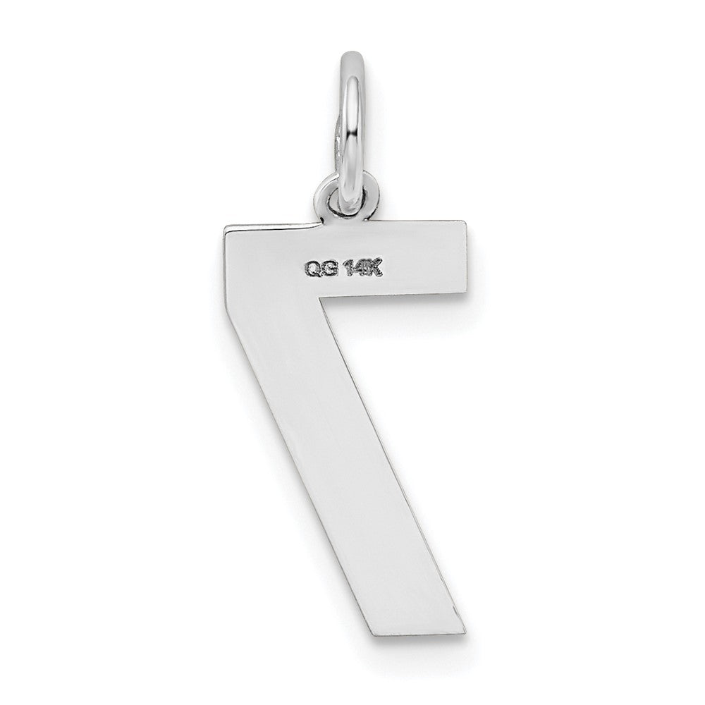 14k White Gold 14kw Medium Satin Number 7 Charm
