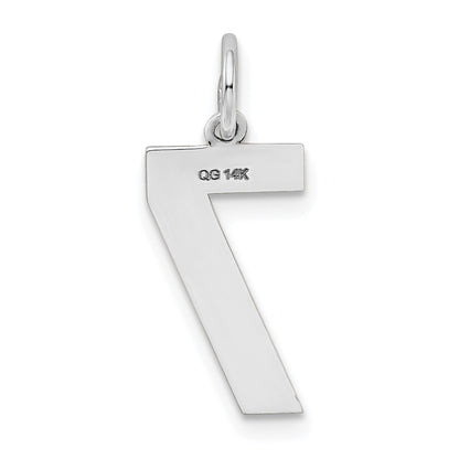 14k White Gold 14kw Medium Satin Number 7 Charm