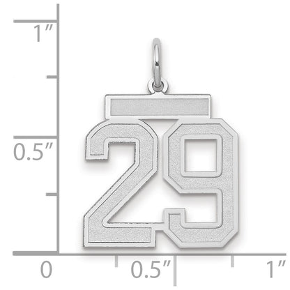 14k White Goldw Medium Satin Number 29 Charm