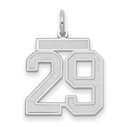 14k White Goldw Medium Satin Number 29 Charm