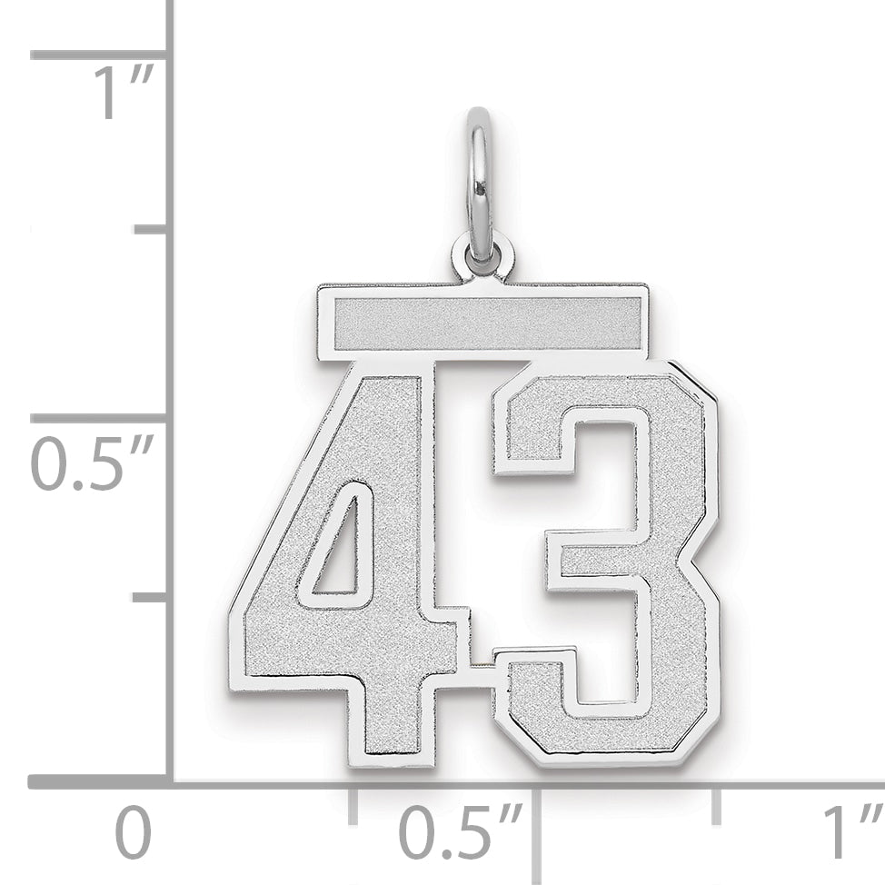 14k White Goldw Medium Satin Number 43 Charm