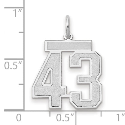 14k White Goldw Medium Satin Number 43 Charm