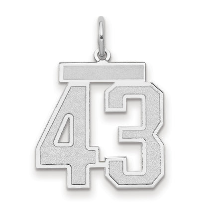 14k White Goldw Medium Satin Number 43 Charm