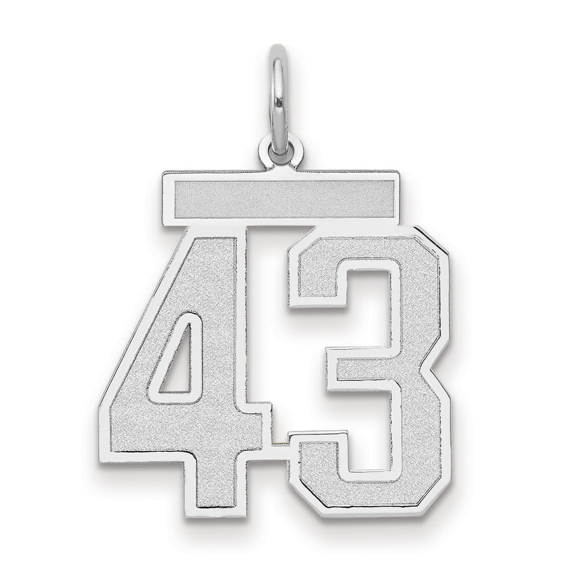 14k White Goldw Medium Satin Number 43 Charm