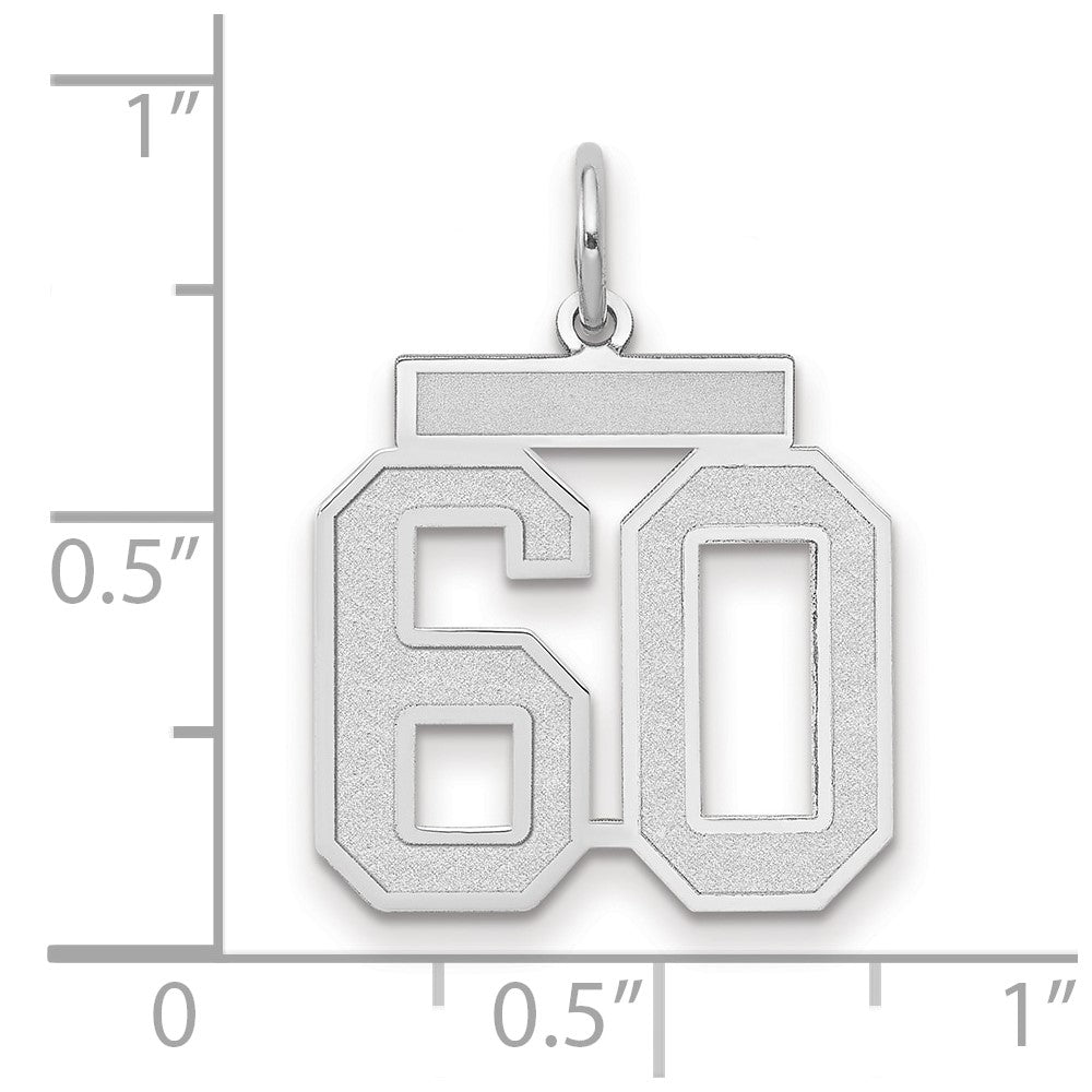 14k White Goldw Medium Satin Number 60 Charm