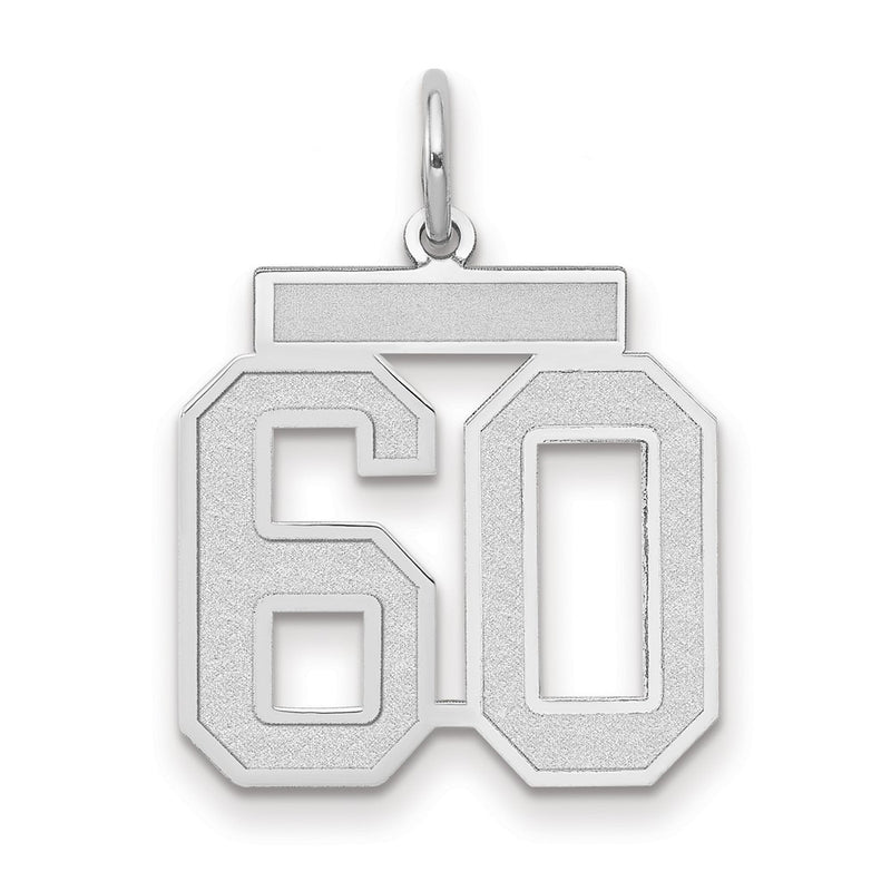 14k White Goldw Medium Satin Number 60 Charm