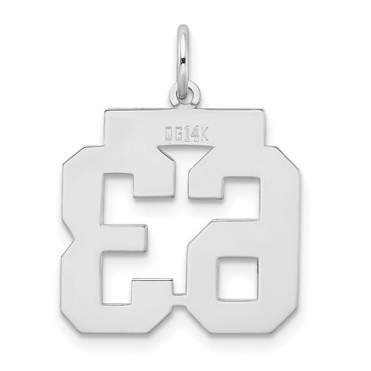 14k White Goldw Medium Satin Number 63 Charm