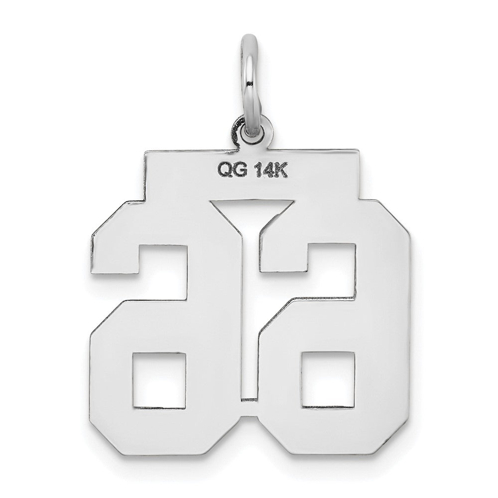 14k White Goldw Medium Satin Number 66 Charm