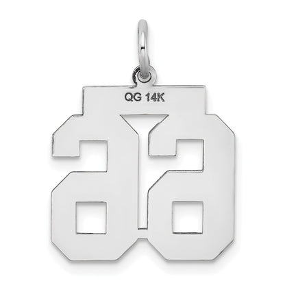 14k White Goldw Medium Satin Number 66 Charm