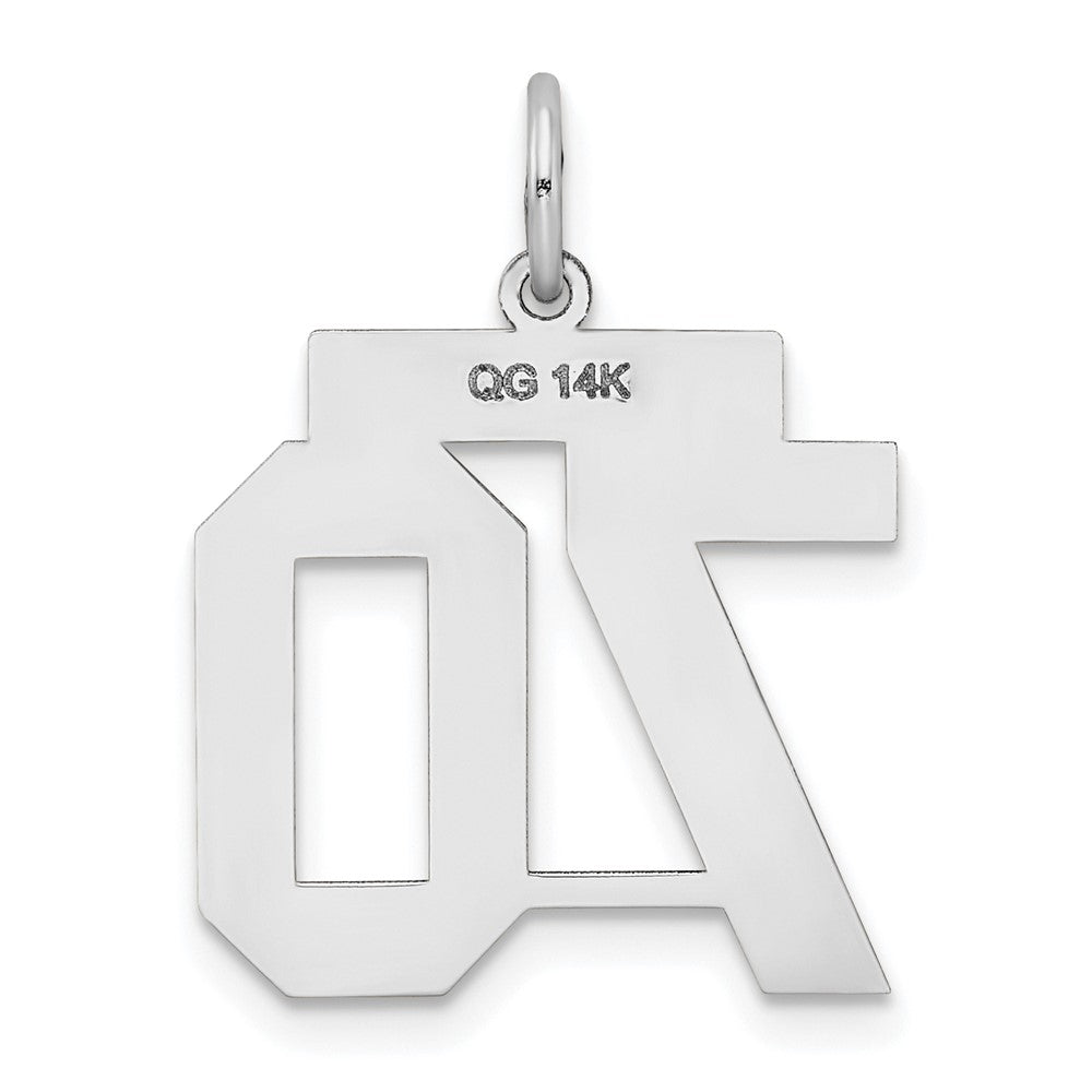 14k White Goldw Medium Satin Number 70 Charm