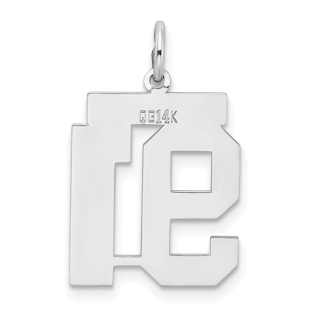 14k White Goldw Medium Satin Number 91 Charm