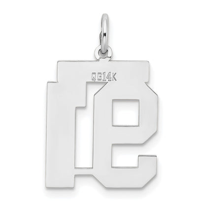 14k White Goldw Medium Satin Number 91 Charm