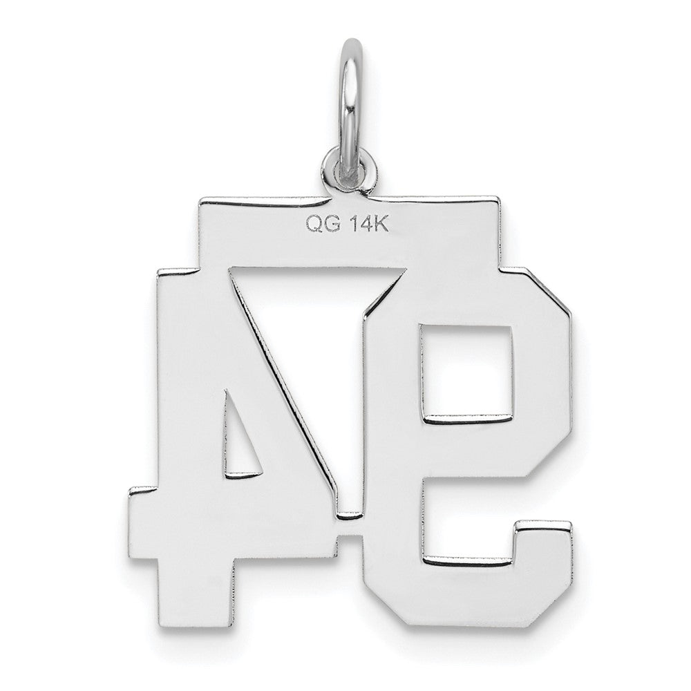 14k White Goldw Medium Satin Number 94 Charm