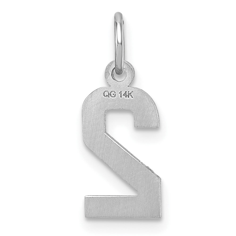14k White Gold 14kw Small Brushed Diamond-cut Number 2 Charm