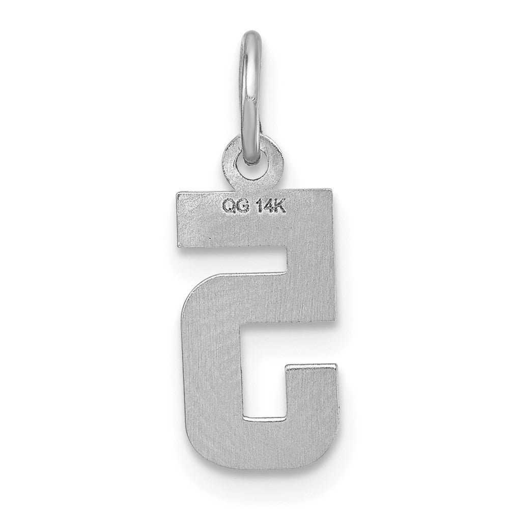 14k White Gold 14kw Small Brushed Diamond-cut Number 5 Charm