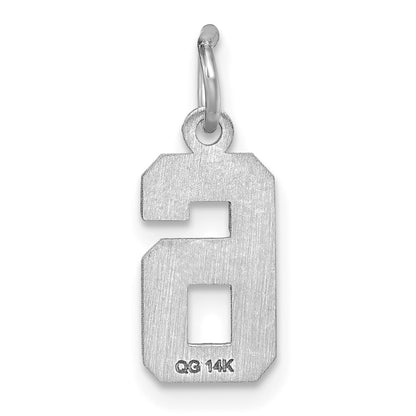 14k White Gold 14kw Small Brushed Diamond-cut Number 6 Charm