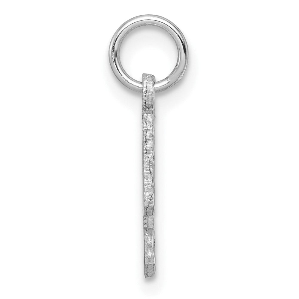 14k White Gold 14kw Small Brushed Diamond-cut Number 9 Charm