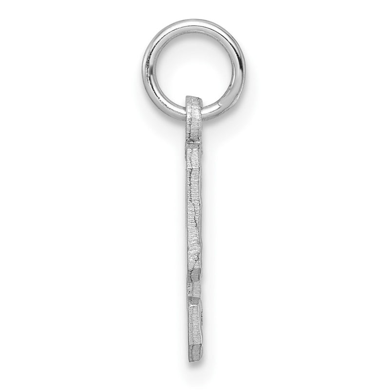14k White Gold 14kw Small Brushed Diamond-cut Number 9 Charm