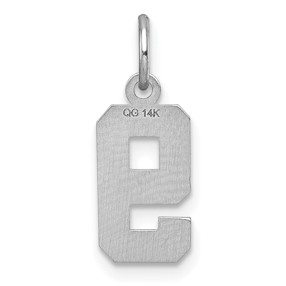 14k White Gold 14kw Small Brushed Diamond-cut Number 9 Charm