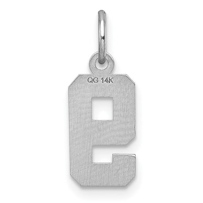 14k White Gold 14kw Small Brushed Diamond-cut Number 9 Charm
