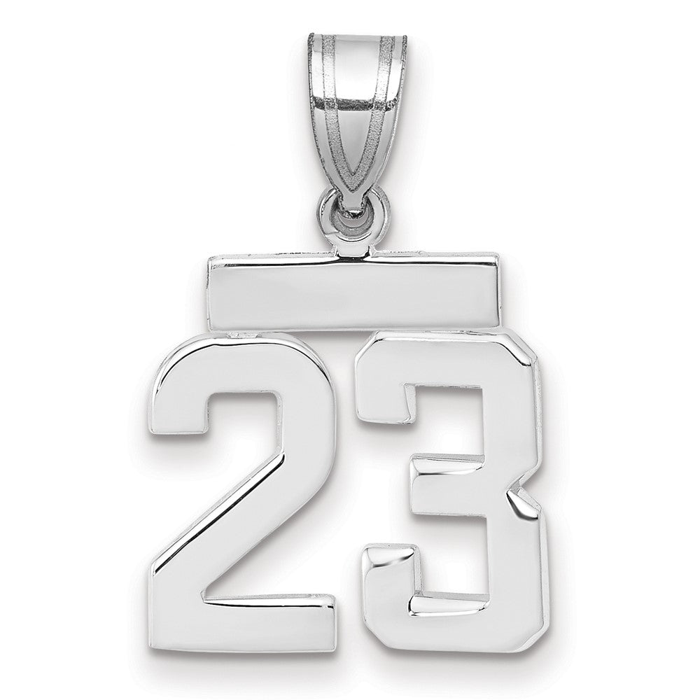14k White Goldw Small Polished Number 23 Charm