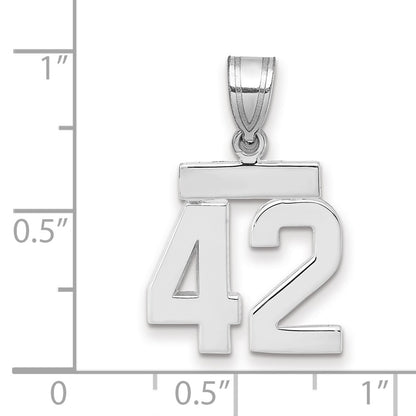 14k White Goldw Small Polished Number 42 Charm