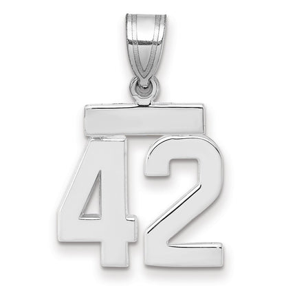 14k White Goldw Small Polished Number 42 Charm