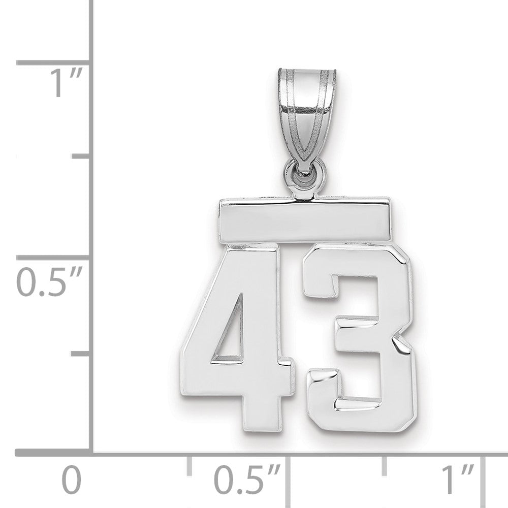 14k White Goldw Small Polished Number 43 Charm
