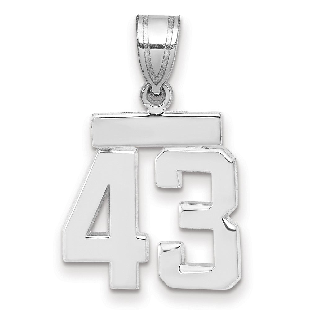 14k White Goldw Small Polished Number 43 Charm