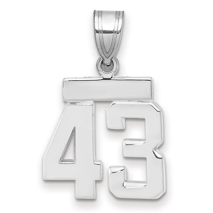 14k White Goldw Small Polished Number 43 Charm