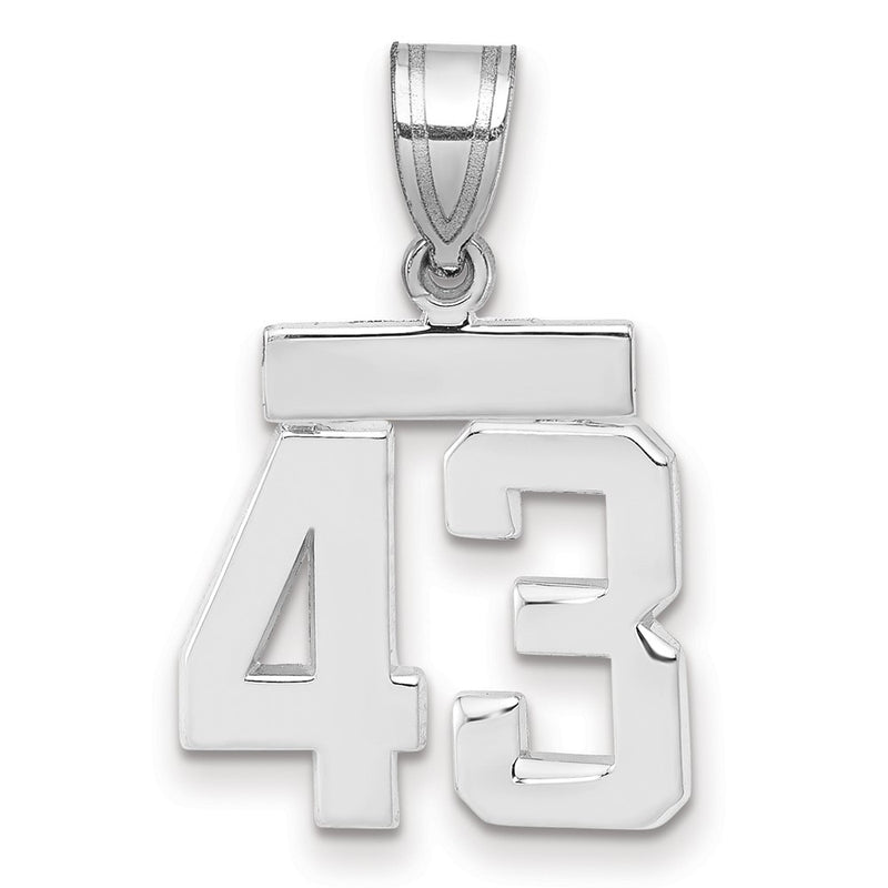 14k White Goldw Small Polished Number 43 Charm
