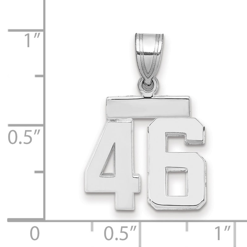 14k White Goldw Small Polished Number 46 Charm