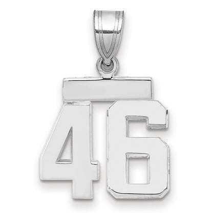 14k White Goldw Small Polished Number 46 Charm